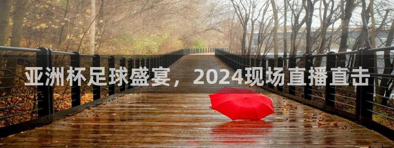 亚洲杯足球盛宴，2024现场直播直击